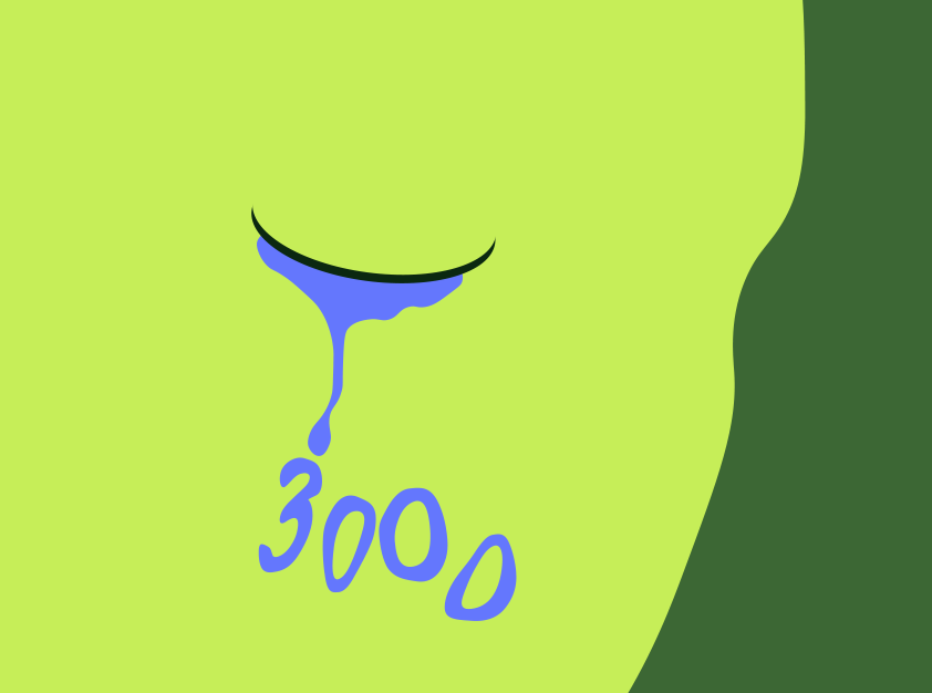 3000